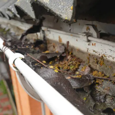 Severely clogged and damaged gutters